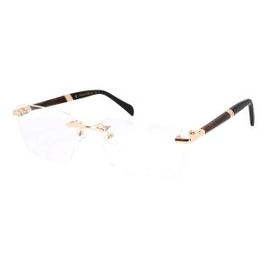 Efor Optik - Philippe Müller Swiss